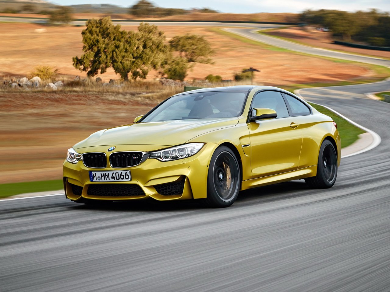 BMW M4 F82/F83 купе, 2014–2017