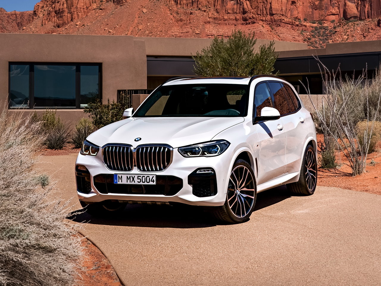 BMW X5 IV (G05/G18) внедорожник 5 дв., 2018–2023
