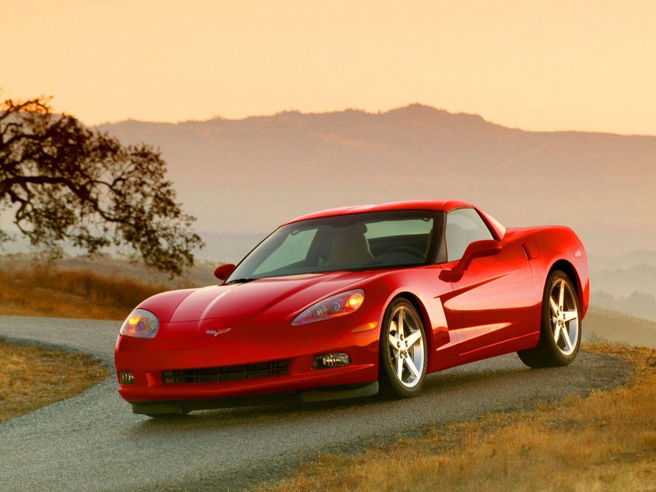 Chevrolet Corvette C6 тарга, 2004–2014